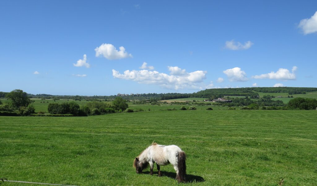 Picturesque South Downs